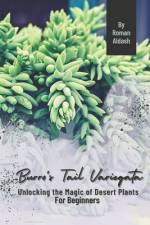 Burro's Tail Variegata af Roman Aldash