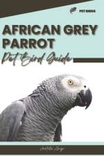 African Grey Parrot af Anatolii Ahryr