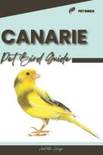 Canarie af Anatolii Ahryr