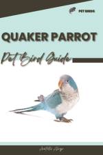 Quaker Parrot af Anatolii Ahryr