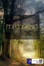 Pellegrino af Paula Revellado Gil