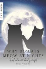 Why do cats meow at night? af Ruslana Shurpatenko
