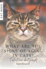 What are the signs of aging in cats? af Ruslana Shurpatenko
