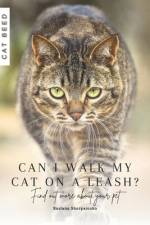 Can I walk my cat on a leash? af Ruslana Shurpatenko