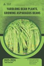 Yardlong Bean Plants, Growing Asparagus Beans af Van Doichev