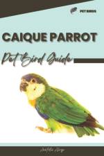 Caique Parrot af Anatolii Ahryr