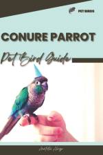 Conure Parrot af Anatolii Ahryr