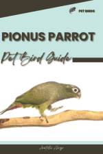 Pionus Parrot af Anatolii Ahryr