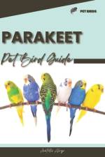 Parakeet af Anatolii Ahryr