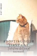 Adopting Your First Cat af Ruslana Shurpatenko