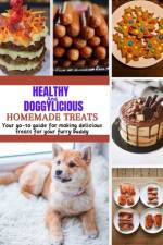 Healthy And Doggylicious Homemade Treats af Felicia Downer