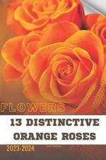 13 Distinctive Orange Roses af Ivan Moshak