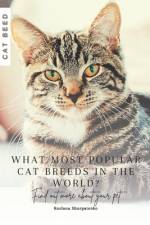 What most popular cat breeds in the world? af Ruslana Shurpatenko