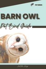 Barn Owl af Anatolii Ahryr
