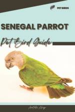 Senegal Parrot af Anatolii Ahryr