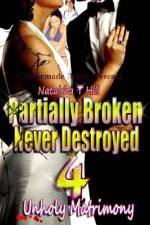 Partially Broken Never Destroyed IV af Nataisha T Hill