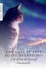 Can cats be left alone overnight? af Ruslana Shurpatenko
