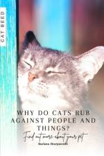 Why do cats rub against people and things? af Ruslana Shurpatenko