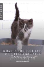 What is the best type of litter for cats? af Ruslana Shurpatenko