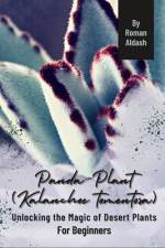 Panda Plant (Kalanchoe tomentosa) af Roman Aldash