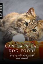 Can cats eat dog food? af Ruslana Shurpatenko