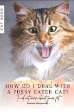 How do I deal with a fussy eater cat? af Ruslana Shurpatenko