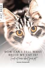 How can I tell what breed my cat is? af Ruslana Shurpatenko