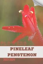 Pineleaf Penstemon af Ivan Moshak