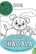 Colores de Chacala 3 af Eden Davis