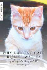 Why do some cats dislike water? af Ruslana Shurpatenko