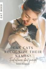 Can cats recognize their names? af Ruslana Shurpatenko