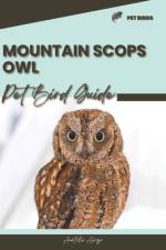 Mountain Scops Owl af Anatolii Ahryr