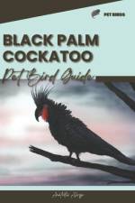 Black Palm Cockatoo af Anatolii Ahryr