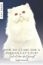 How do I care for a Persian cat's fur? af Ruslana Shurpatenko