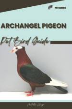 Archangel Pigeon af Anatolii Ahryr