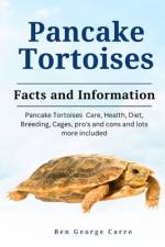 Pancake Tortoises af Ben George Carre