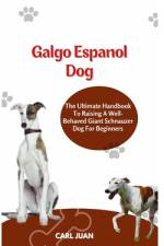 Galgo Espaol Dog af Carl Juan