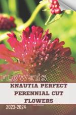 Knautia Perfect Perennial Cut Flowers af Ivan Moshak