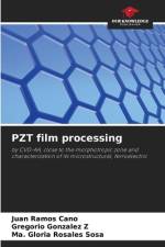 PZT film processing af Juan Ramos Cano