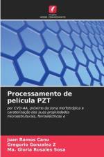 Processamento de película PZT af Juan Ramos Cano