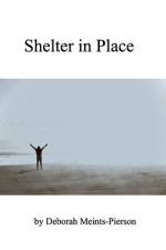 Shelter in Place af Deborah Meints-Pierson
