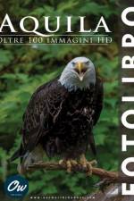 Aquila af A Arelt