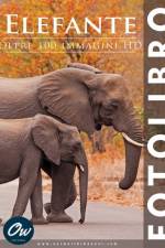 Elefante af A Arelt