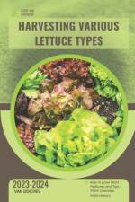 Harvesting Various Lettuce Types af Van Doichev