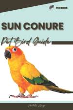 Sun Conure af Anatolii Ahryr