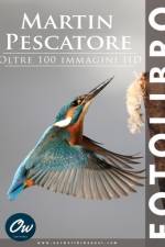 Martin Pescatore af A Arelt