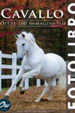 Cavallo af A Arelt