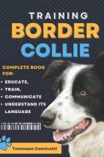 BORDER COLLIE Training af Tommaso Cominotti