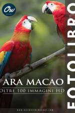 Ara Macao af A Arelt