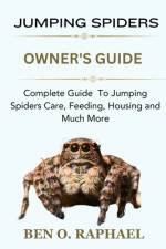 Jumping Spider af Ben O Raphael